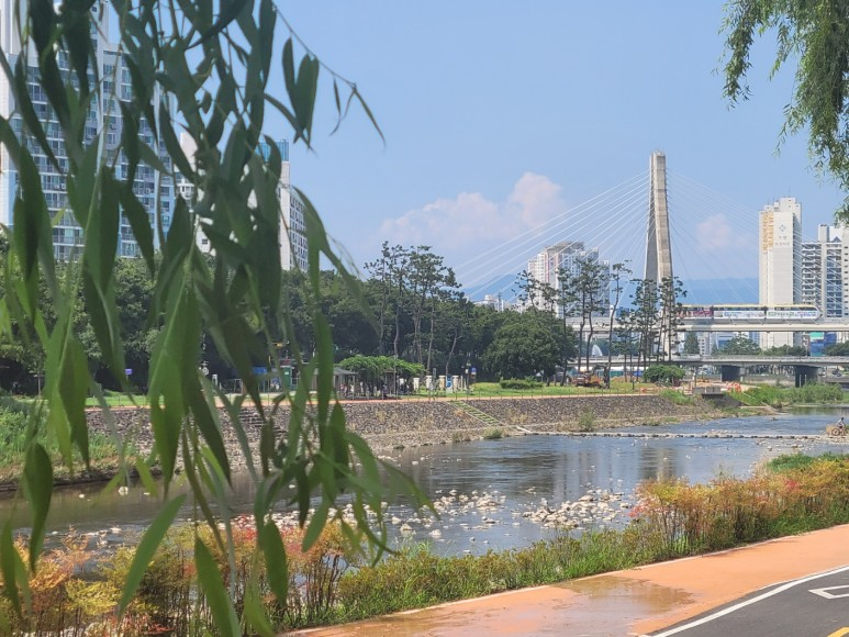 대구 신천 물놀이장! 마술공연 연합의 2023 여름휴가 1st Place